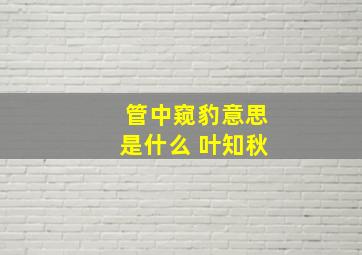 管中窥豹意思是什么 叶知秋